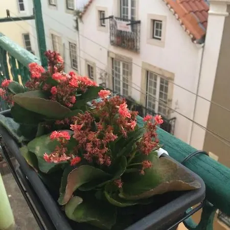 Charming Flat - Historical Center Lejlighed Lisboa